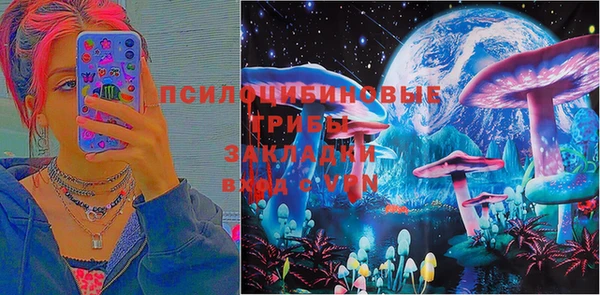 a pvp Алексин