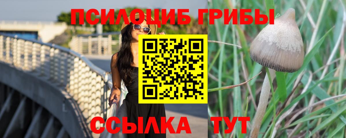 Галлюциногенные грибы Cubensis  Вход с VPN  Сочи  Галлюциногенные грибы мицелий 